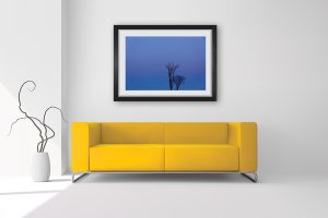 Les oies, les arbres et le harfang. Oeuvre papier. Encadrement non inclus.