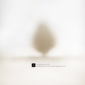 La dignité © Julie Beauchemin