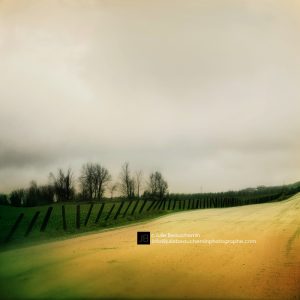 Pélerinage © Julie Beauchemin