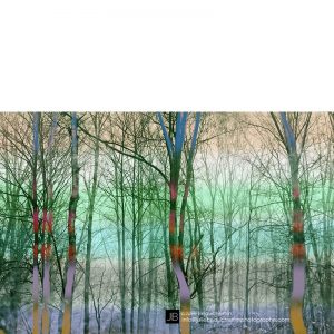 Sa forêt © Julie Beauchemin