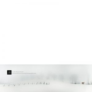 Loin_de_la_tourmente_800px©Julie_Beauchemin