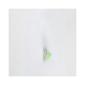 La_maison_papillon_©Julie_Beauchemin