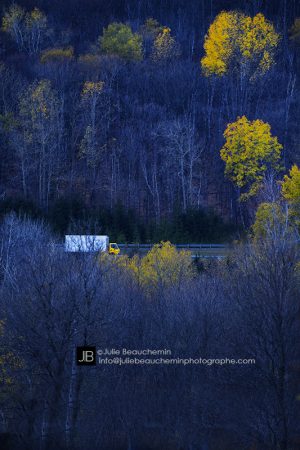 La route comme maison -édition de 7-